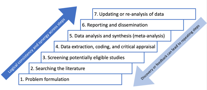 Systematic Reviews and Meta-Analysis: A Campbell Collaboration Online Course